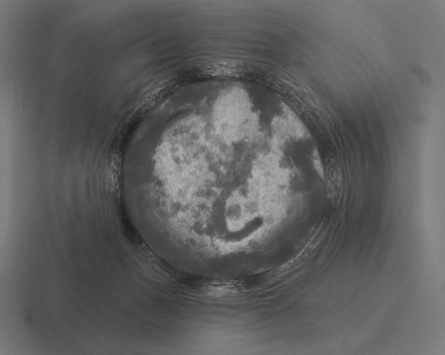 X0000116590175200912291315