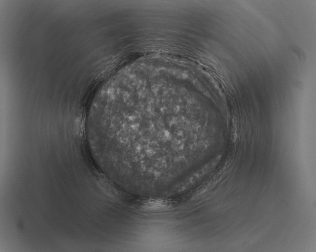 X0000116590177200912291315