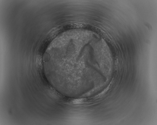 X0000116590178200912291315