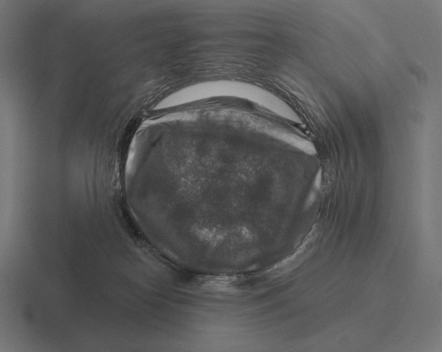 X0000116590182200912291315