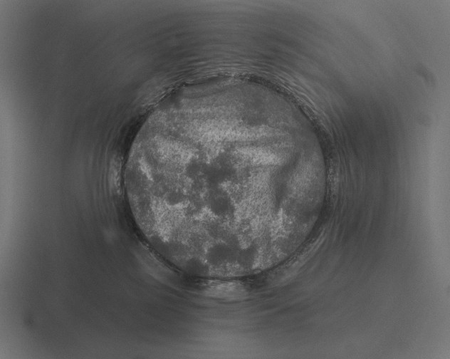 X0000116590185200912291315