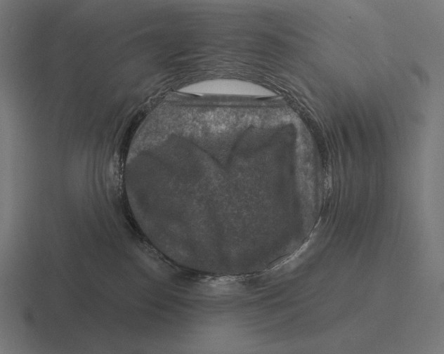 X0000116590186200912291315