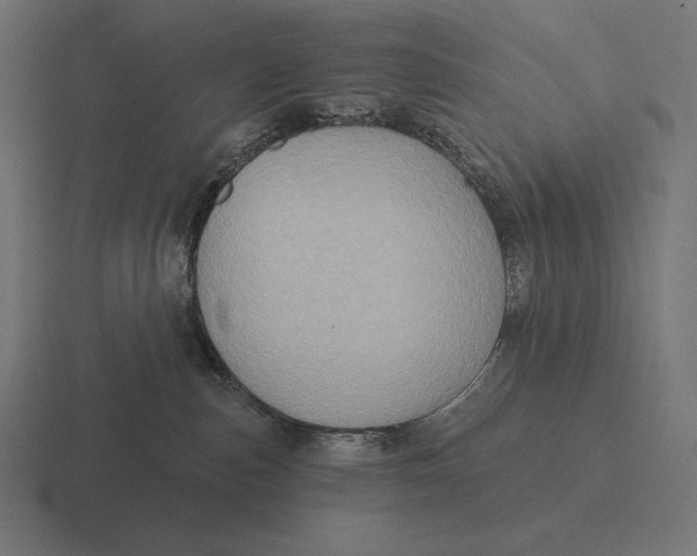 X0000116590187200912291315