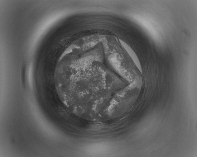 X0000116590189200912291315