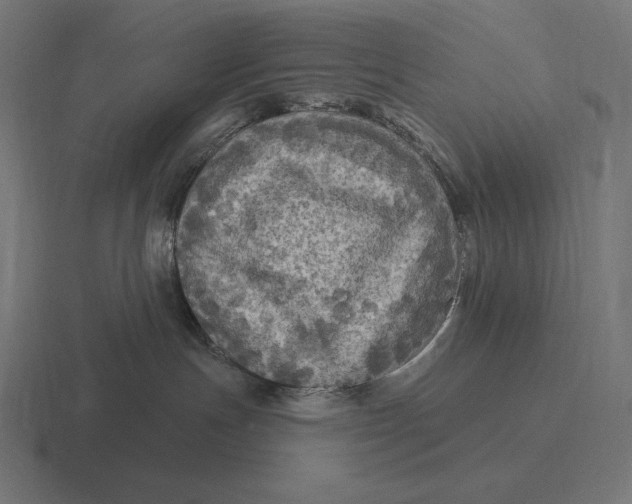 X0000116590191200912291315