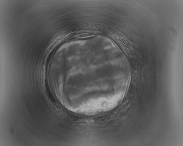 X0000116590194200912291315