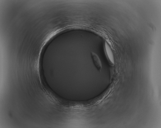 X0000116590196200912291315