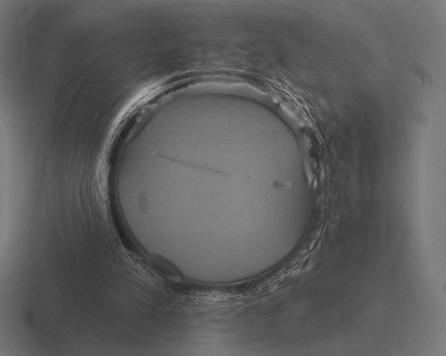 X0000116590197200912291315