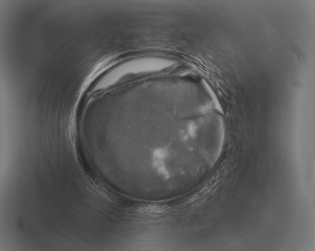 X0000116590198200912291315