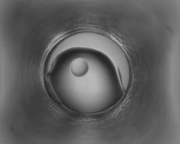 X0000116590199200912291315