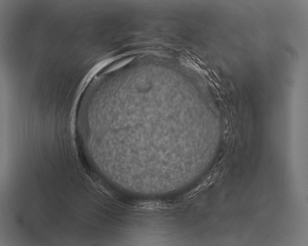 X0000116590200200912291315