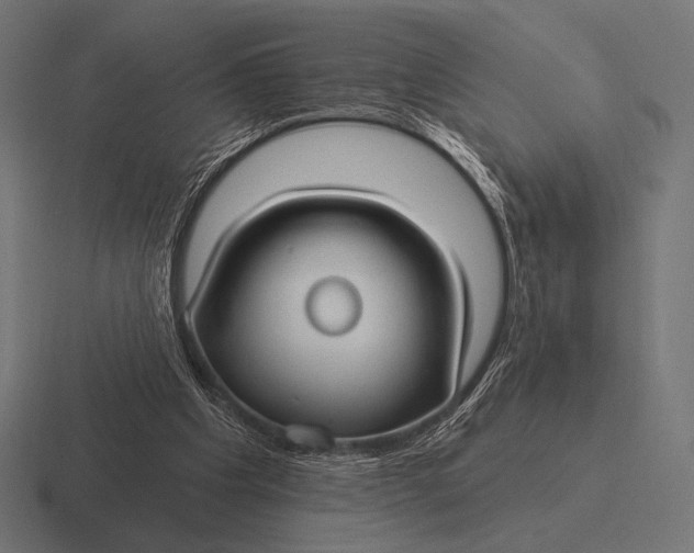 X0000116590201200912291315