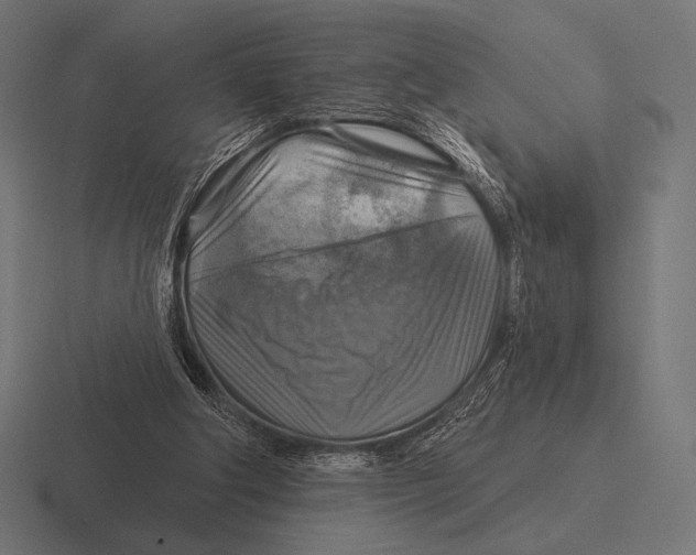 X0000116590202200912291315