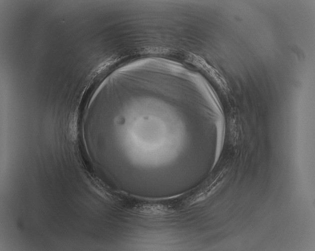 X0000116590203200912291315