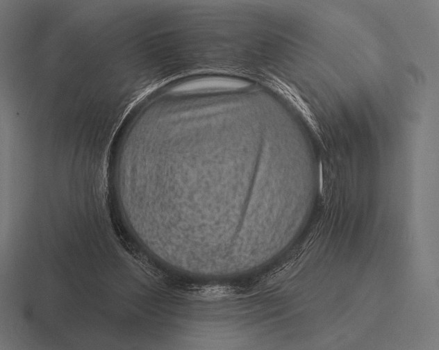 X0000116590204200912291315