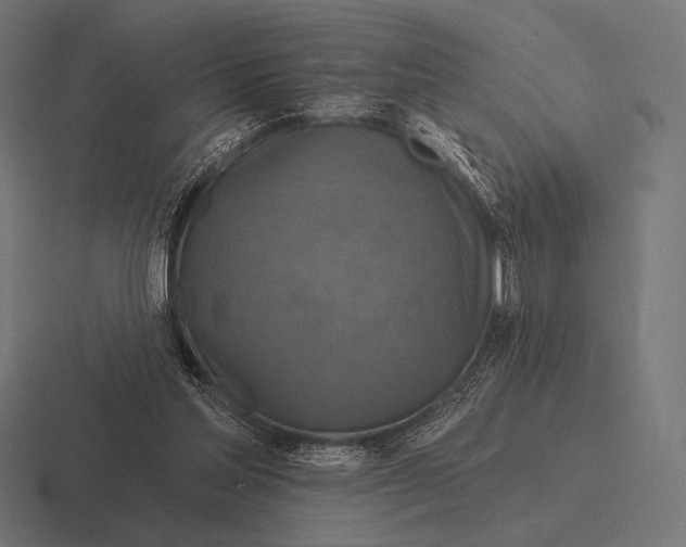 X0000116590205200912291314