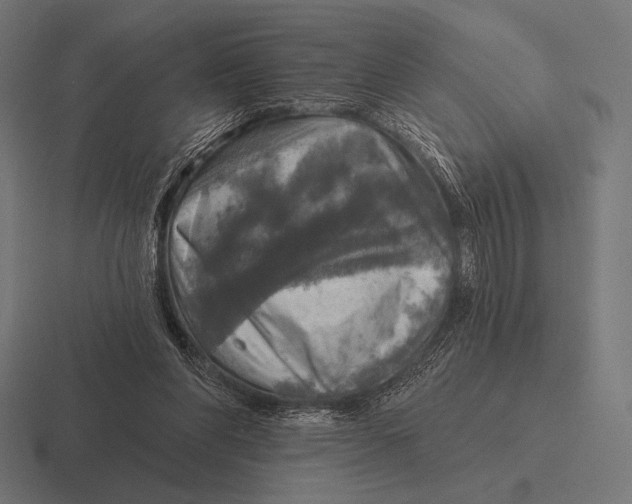 X0000116590206200912291314