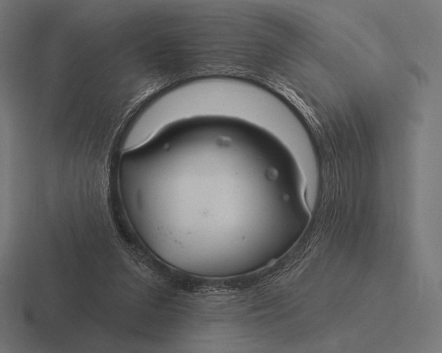 X0000116590207200912291314