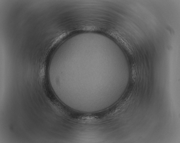 X0000116590208200912291314