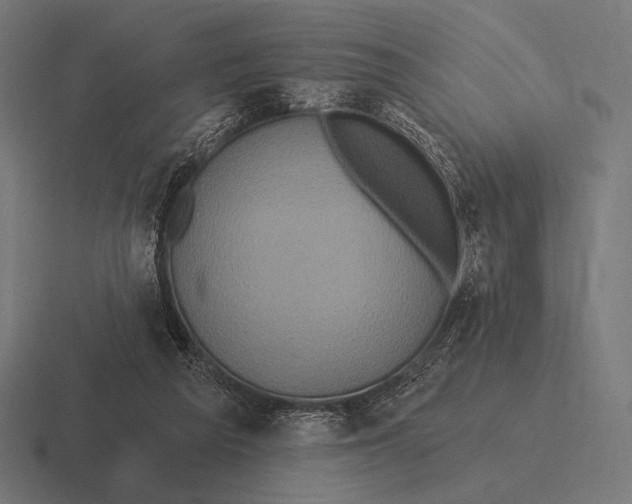 X0000116590209200912291314