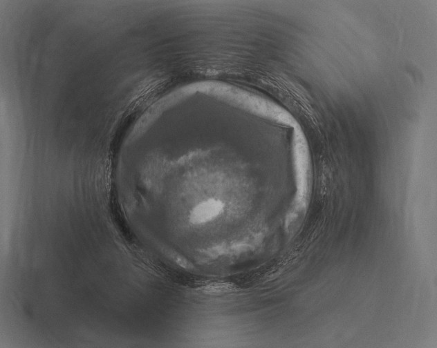 X0000116590210200912291314