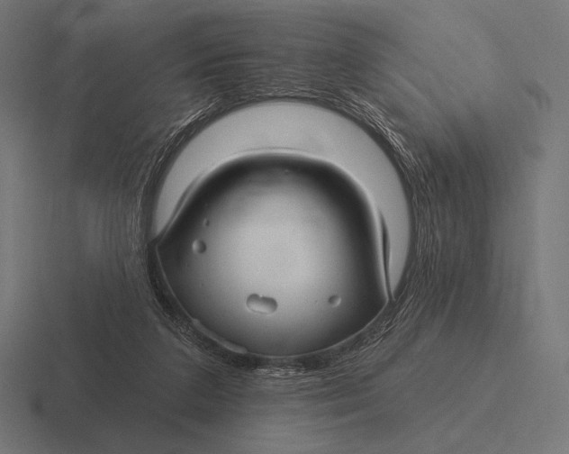 X0000116590211200912291314