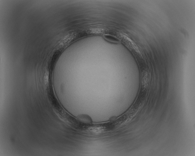 X0000116590213200912291314