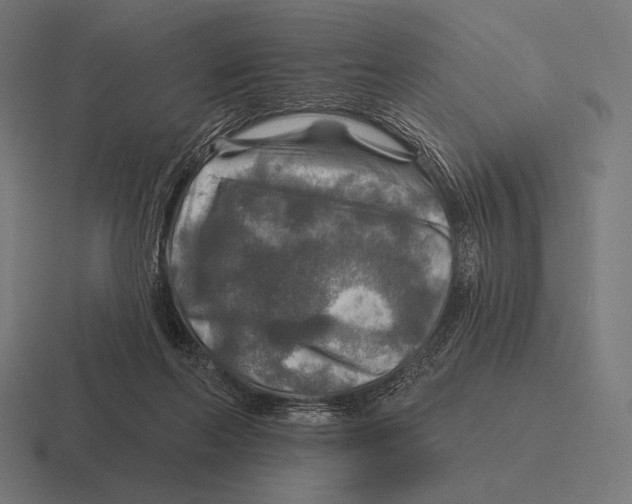 X0000116590214200912291314