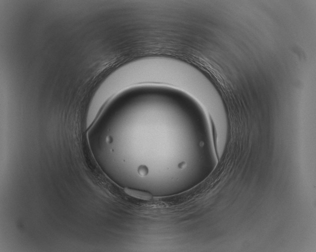 X0000116590215200912291314