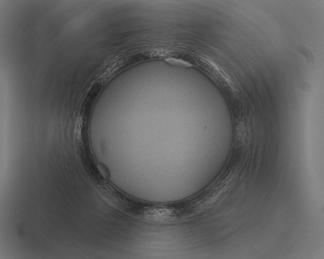 X0000116590217200912291314