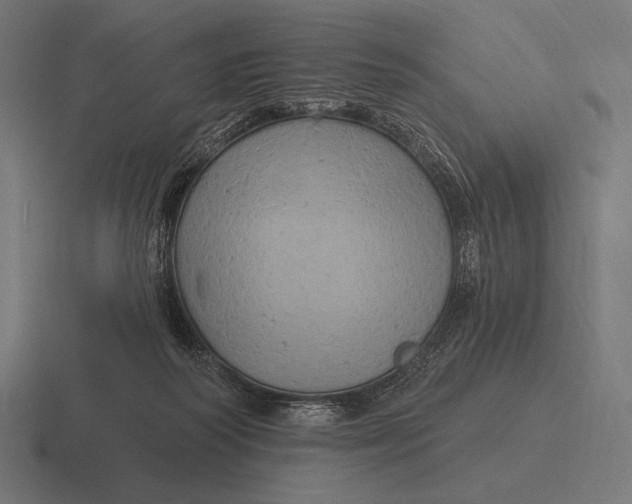 X0000116590218200912291314