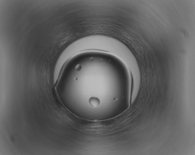 X0000116590219200912291314