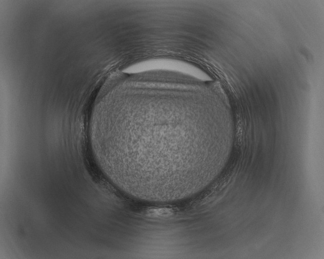 X0000116590220200912291314