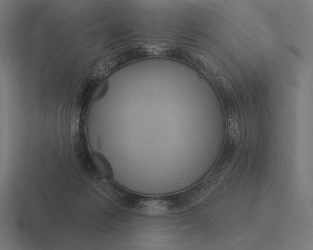 X0000116590221200912291314