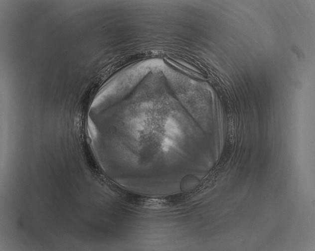 X0000116590222200912291314