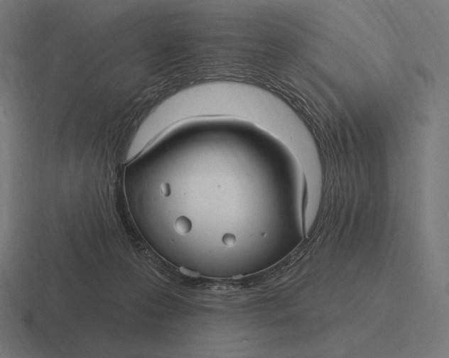 X0000116590223200912291314