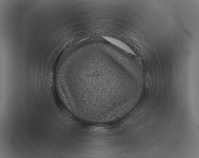 X0000116590224200912291314