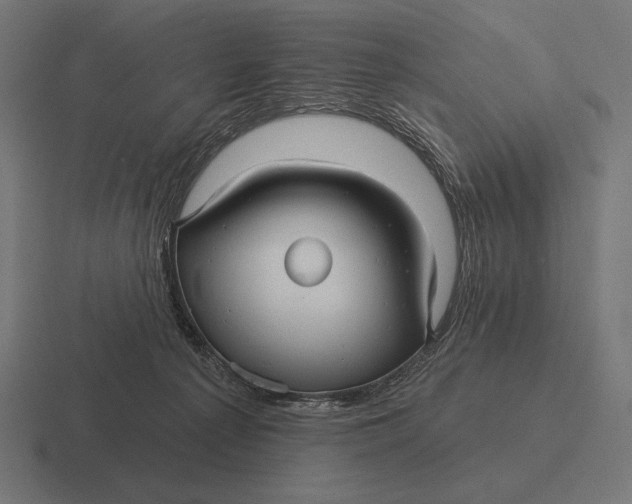 X0000116590225200912291314