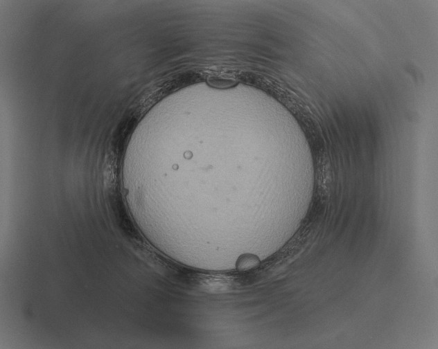 X0000116590226200912291314