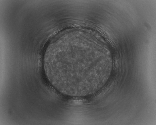 X0000116590228200912291314