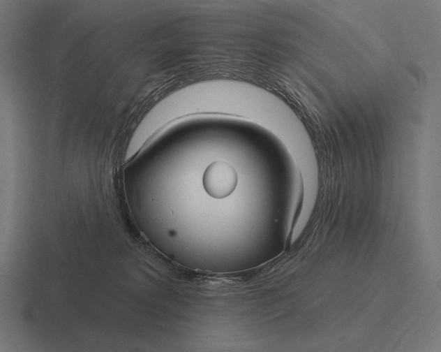 X0000116590229200912291314