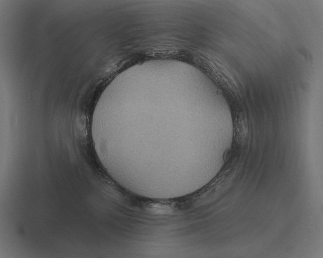 X0000116590232200912291314