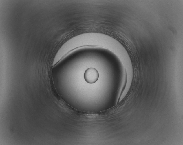 X0000116590233200912291314