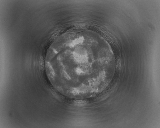 X0000116590234200912291314