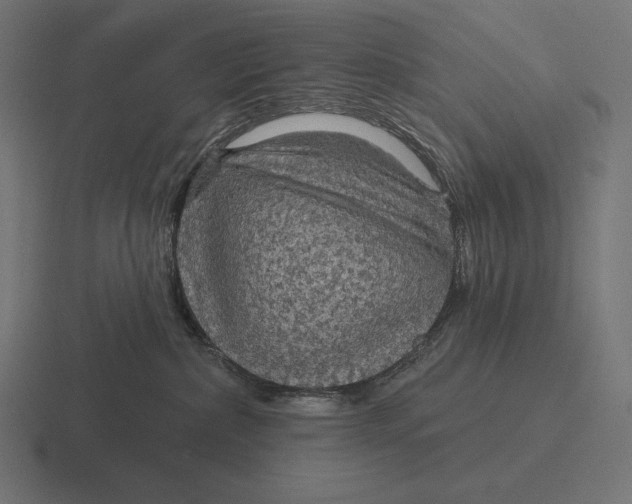 X0000116590236200912291314