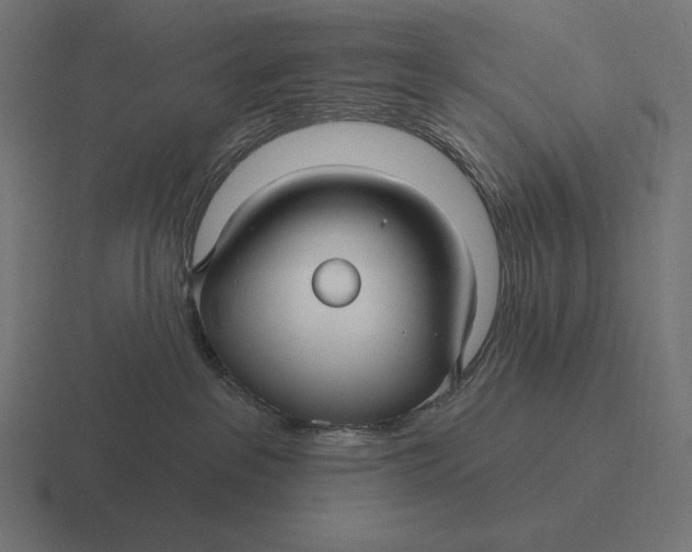 X0000116590237200912291314