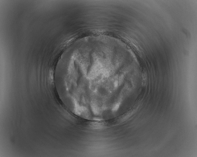 X0000116590238200912291314