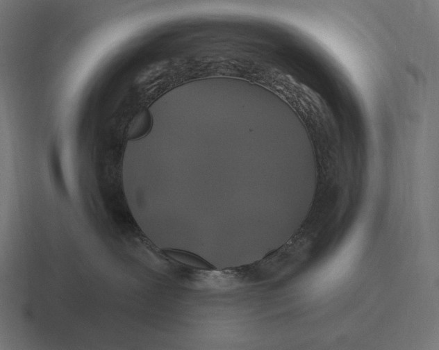 X0000116590239200912291314