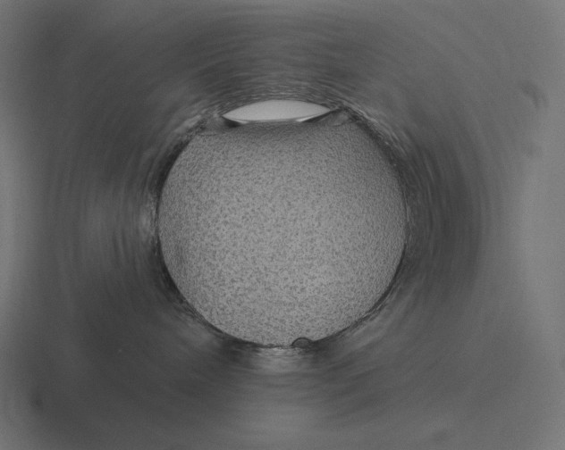 X0000116590240200912291314