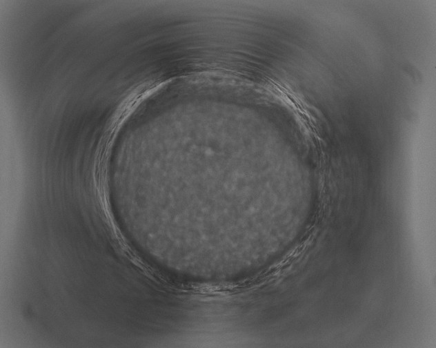 X0000116590241200912291313